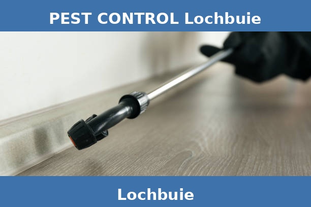 PEST CONTROL Lochbuie